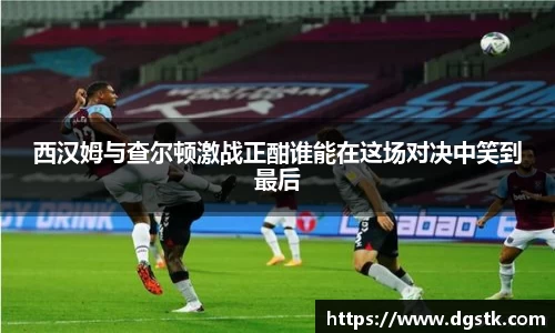 im电竞平台